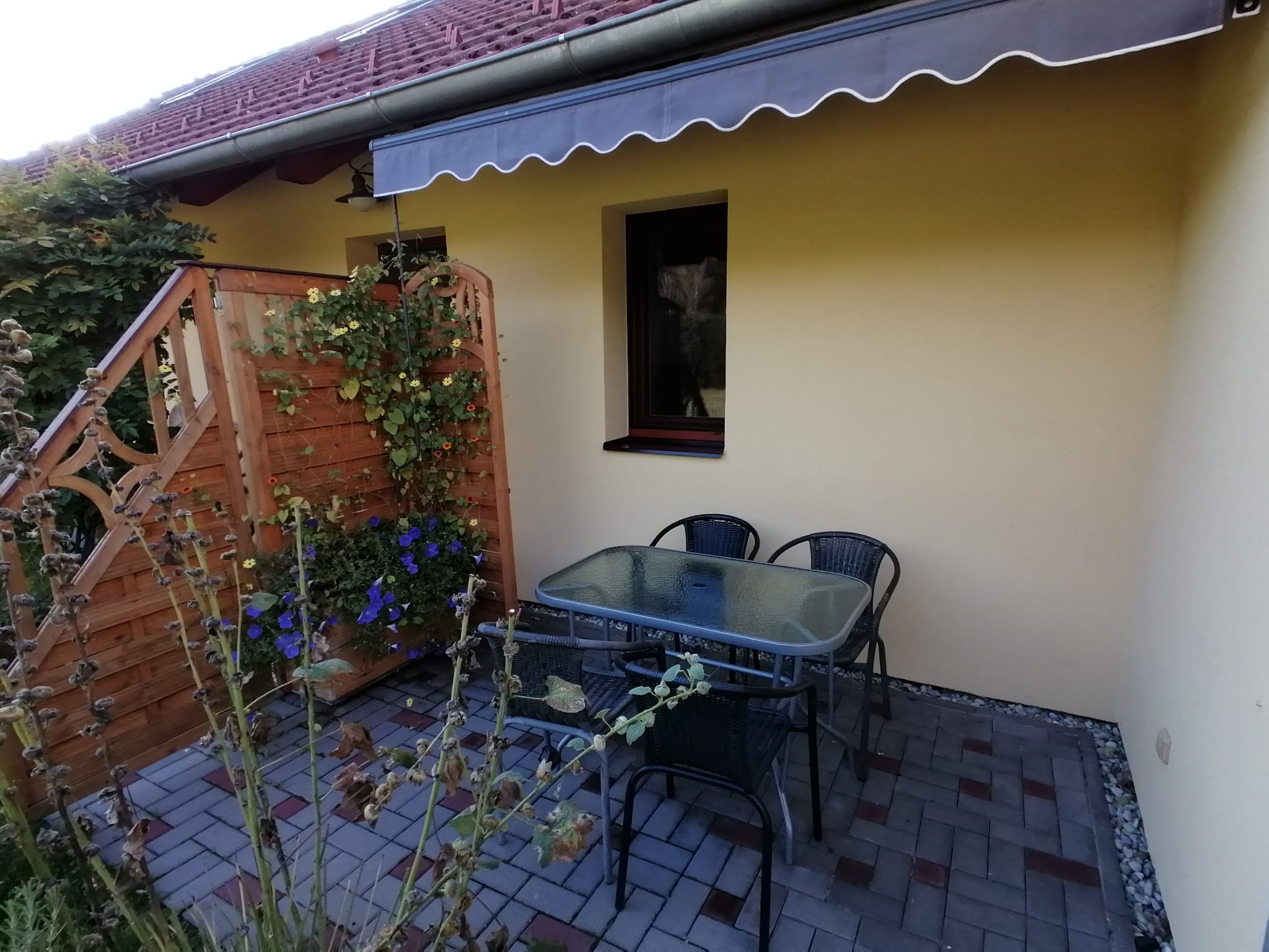 31-Fialovy-pokoj-veranda